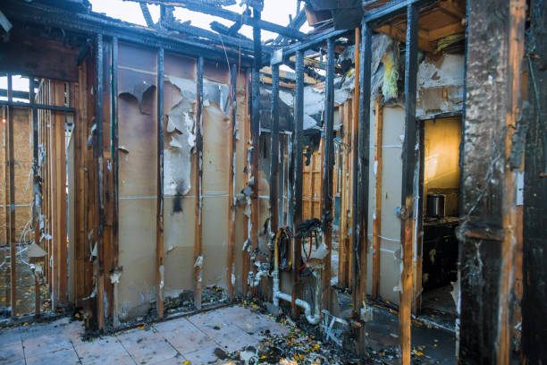 Professional Fire Damage Removal technician working in Berryville, AR
